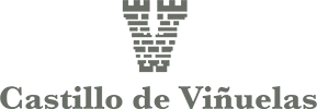 CV_logo_hor-v2_100