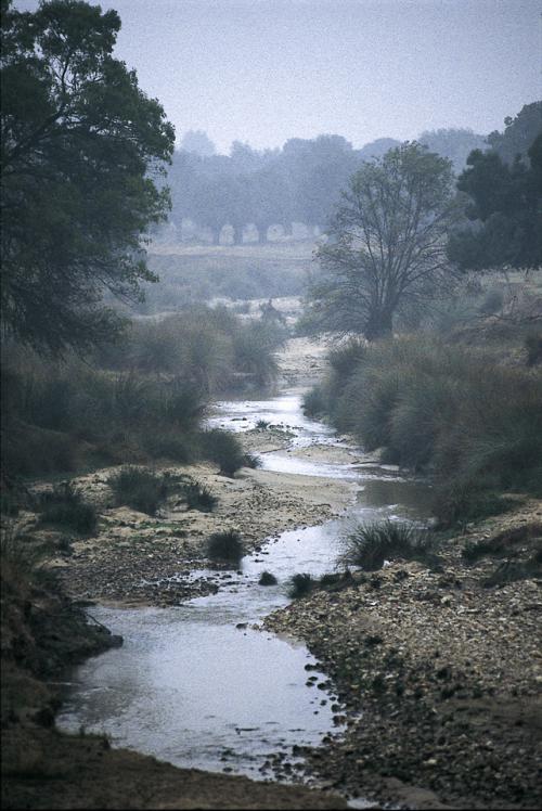 Arroyo 1  Invierno