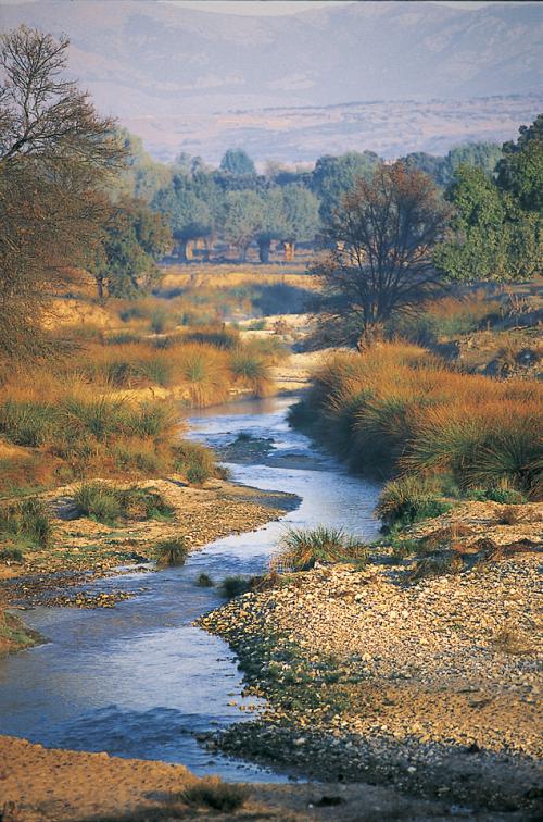 Arroyo 2 Primavera