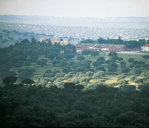 Castillo-II