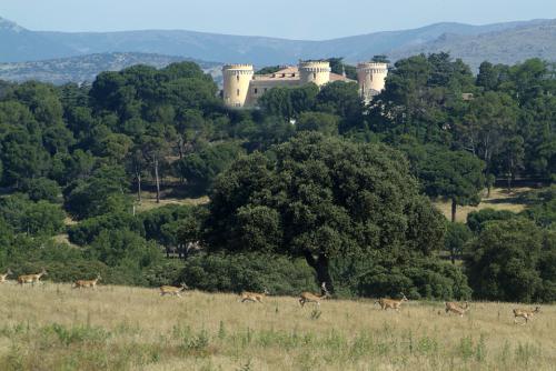 gamos y castillo 1