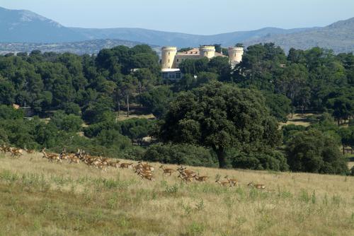 gamos y castillo 2